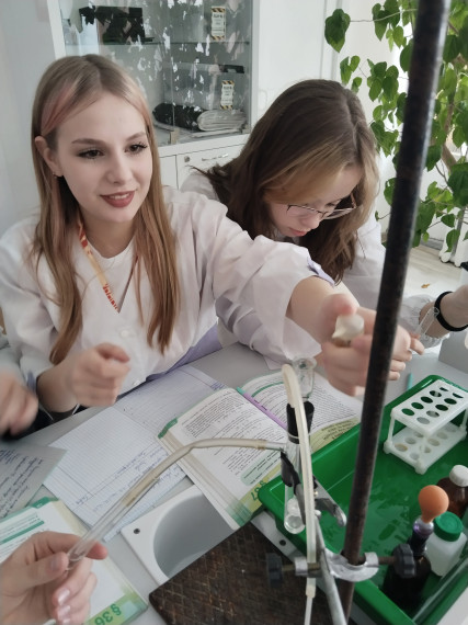 "Получение углекислого газа. Качественная реакция на карбонат-ион".