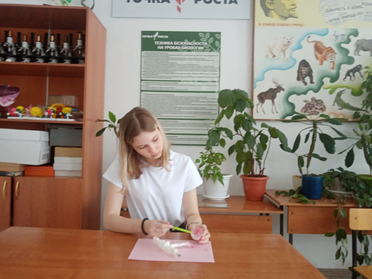 Выращивание кристалла из раствора поваренной соли.